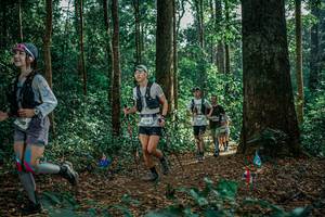 BIB: 
                            <button type="button" onclick="openModal(26131777)" class="btn btn-primary btn-sm float-right btn-popup" data-toggle="modal" data-target=".modal-high-quality">
                        <i class="fas fa-shopping-cart"></i> Add to Cart
                    </button>
                                            <button type="button" onclick="isThisMe(26131777, true)" class="btn btn-success btn-sm float-right btn-popup btn-isme hidden" data-toggle="tooltip" data-placement="bottom" title="นี่คือรูปของคุณใช่ไหม คลิกที่นี่เพื่อเอาเข้าอัลบั้ม">
                        <i class="fas fa-plus"></i> Add to album
                    </button>
                    <button type="button" onclick="isThisMe(26131777, false)" class="btn btn-warning btn-sm float-right btn-popup btn-isnotme hidden">
                        <i class="fas fa-ban"></i> Remove from album
                    </button>